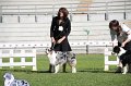 IMG_1062