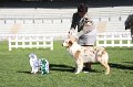 IMG_1076