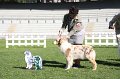 IMG_1077