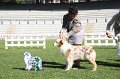 IMG_1078
