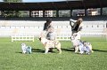 IMG_1082