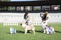 IMG_1083