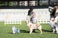 IMG_1085