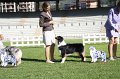 IMG_1091