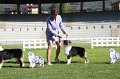 IMG_1093