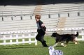 IMG_0949