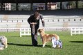 IMG_0986