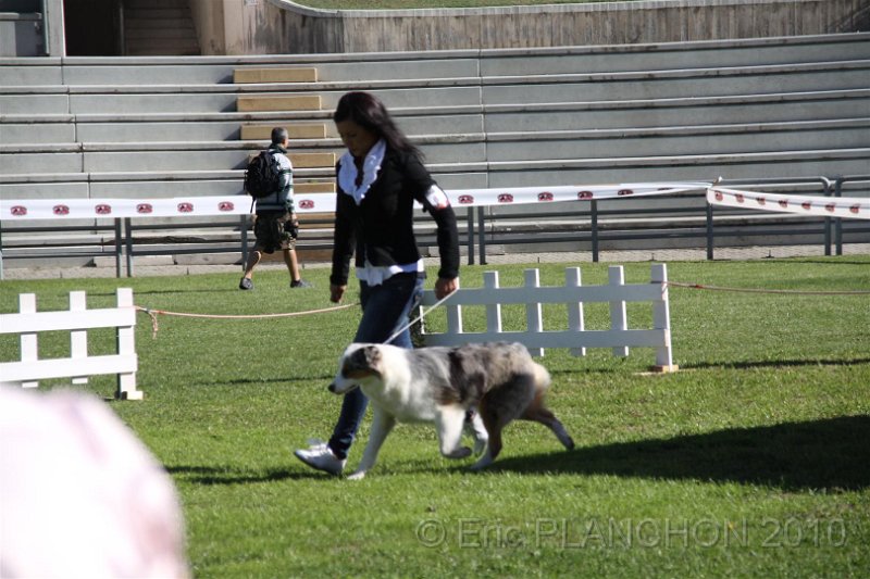 IMG_1136.JPG
