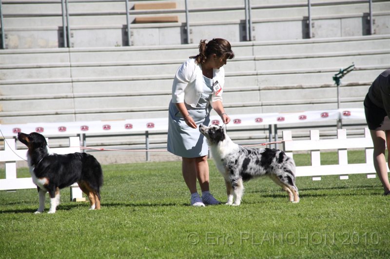 IMG_1152.JPG