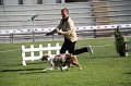 IMG_1113