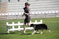 IMG_1132