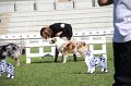 IMG_1147