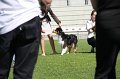 IMG_1148