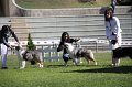 IMG_1155