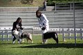 IMG_1157