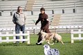 IMG_0880