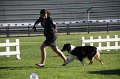 IMG_0882