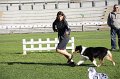 IMG_0883