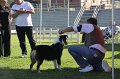 IMG_0894