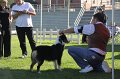 IMG_0895
