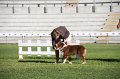IMG_0896