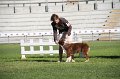 IMG_0897