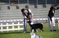 IMG_0908