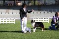 IMG_0918