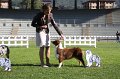 IMG_0924