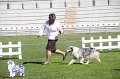 IMG_1251