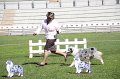 IMG_1252