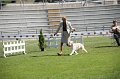 IMG_0024