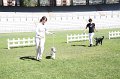 IMG_0032