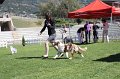 IMG_0035