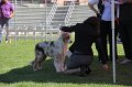 IMG_0038