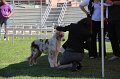 IMG_0039