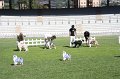 IMG_0040