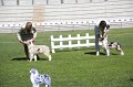 IMG_0041
