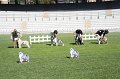 IMG_0043