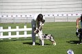 IMG_0045