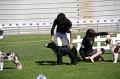IMG_0046