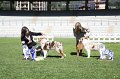 IMG_0053