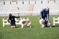 IMG_0818