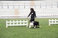 IMG_0559