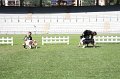IMG_0560