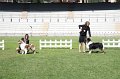 IMG_0562