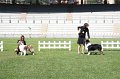 IMG_0563