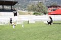 IMG_0575