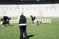 IMG_0579