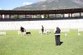 IMG_0582